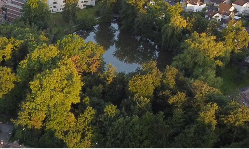 Symbolbild Lebensraum Weiher